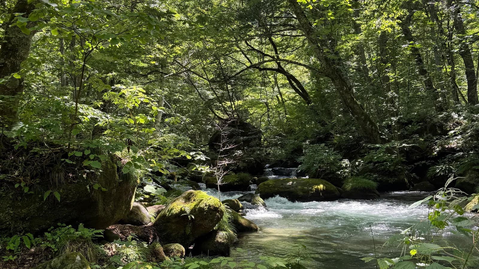 Aomori: The Hidden Treasure at the Northern Edge