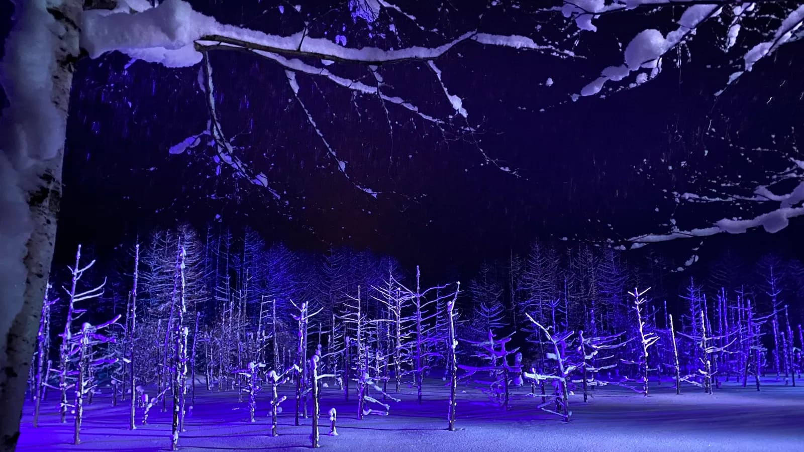 Hokkaido: Japan's Largest Winter Stage