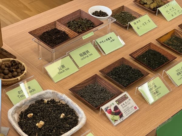 나라: 사슴과 대불의 1,300년 도시