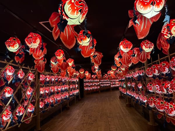 닛코: 도쿠가와가 잠든 세계유산의 도시